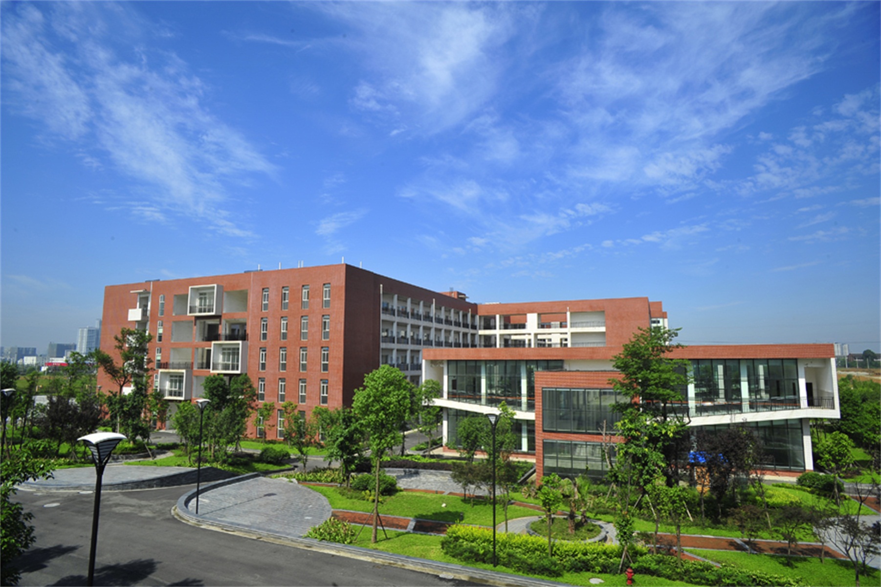 西南财经大学09年毕业证